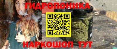 ECSTASY Будённовск